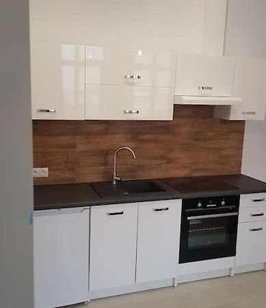 Komfortowy Apartament W Centrum Nowego Sacza 新松奇 外观 照片