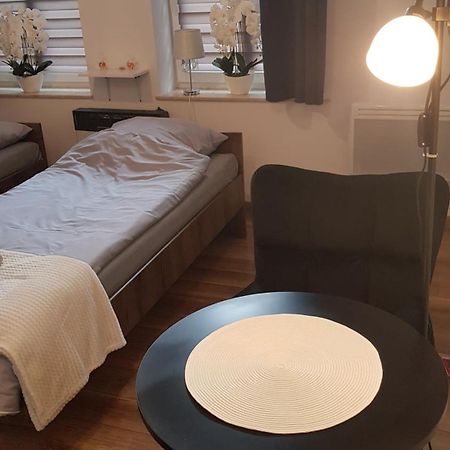 Komfortowy Apartament W Centrum Nowego Sacza 新松奇 外观 照片